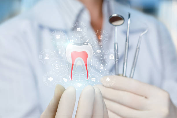  Nolanville, TX Dental Services Pros